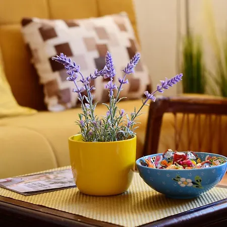 Rosi Lejlighed Split